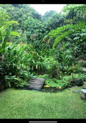 Greenbank Park (D21), Detached #512148741